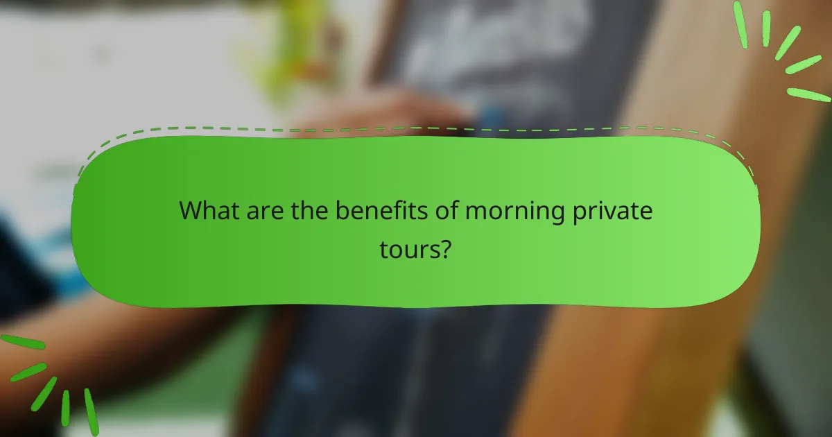What are the benefits of morning private tours?