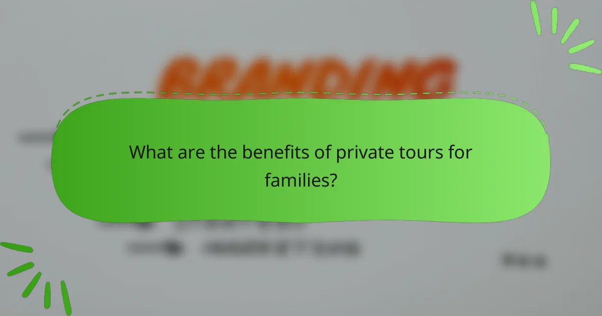What are the benefits of private tours for families?
